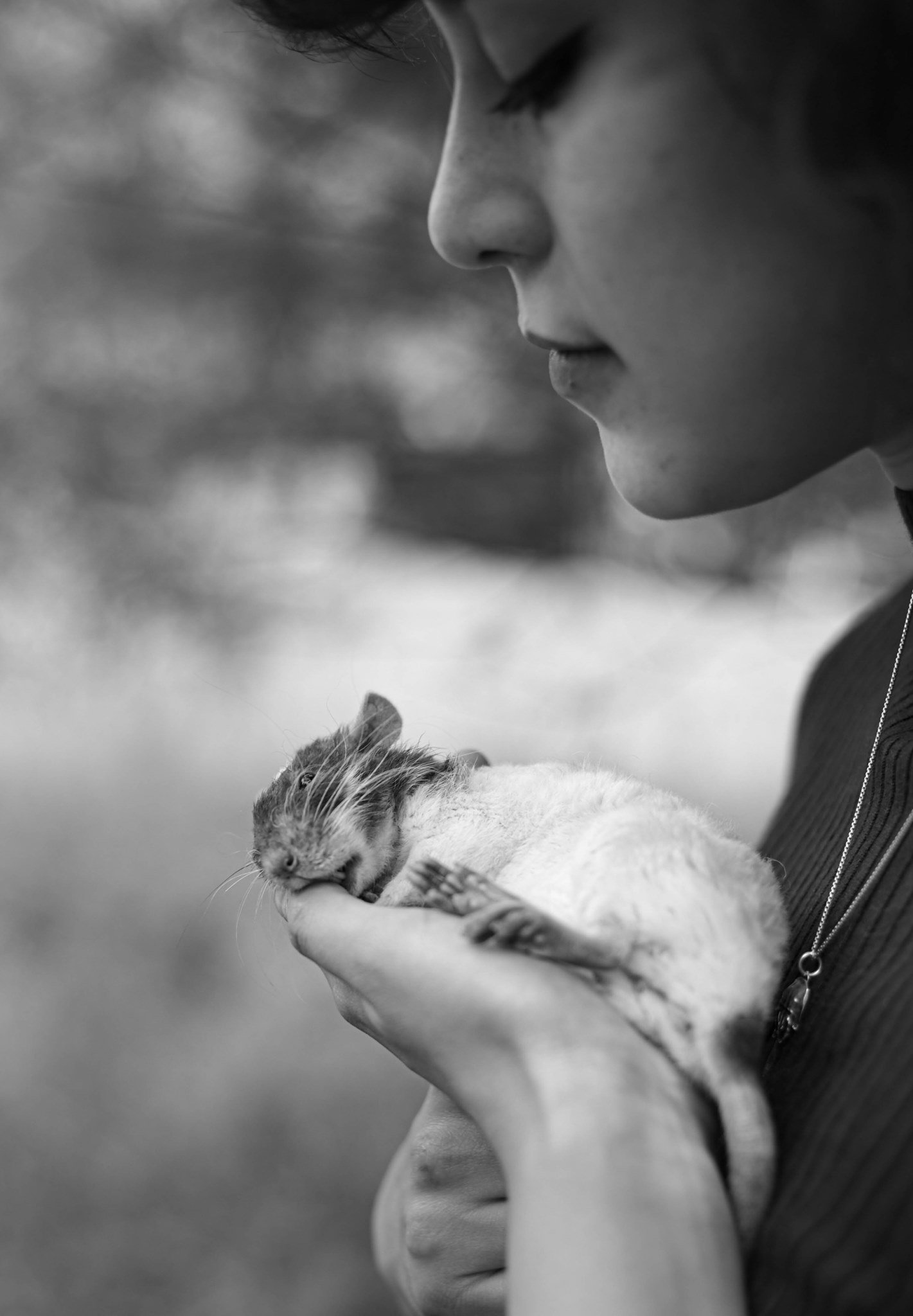 Holding rat