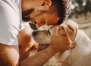 Apr26_When Is It Time to Say Goodbye