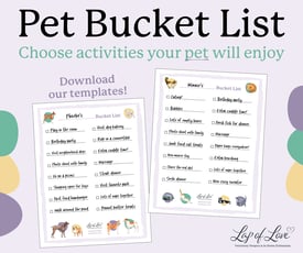 Bucket List Social Post-940x788 Bucket List Social Post-940x788