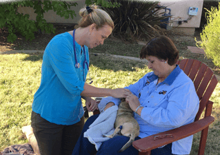 DrMarywithagingpet-1