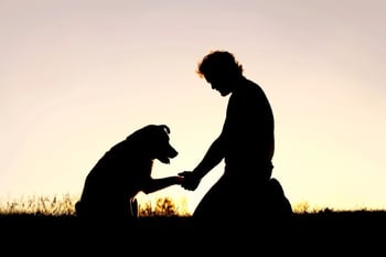 Jul26_Talking About Euthanasia with Clients_ image
