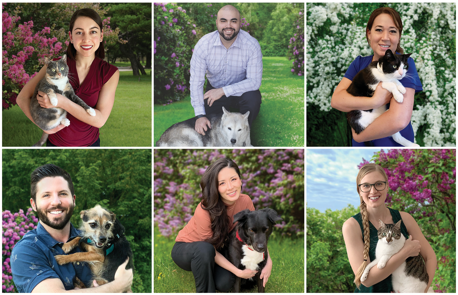 Lap of Love veterinarian photos