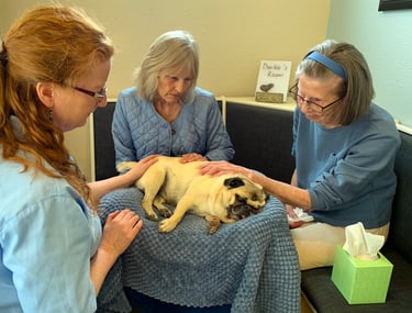 Dr. Cooney Euthanasia Appointment