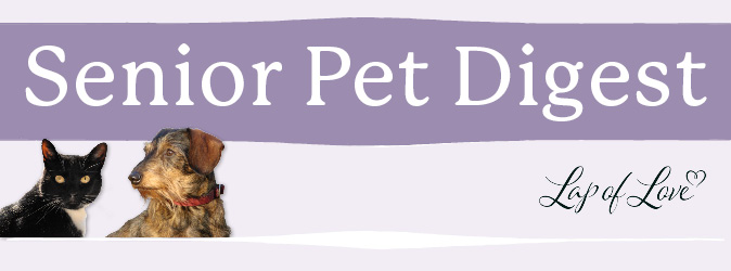 Senior Pet Digest header