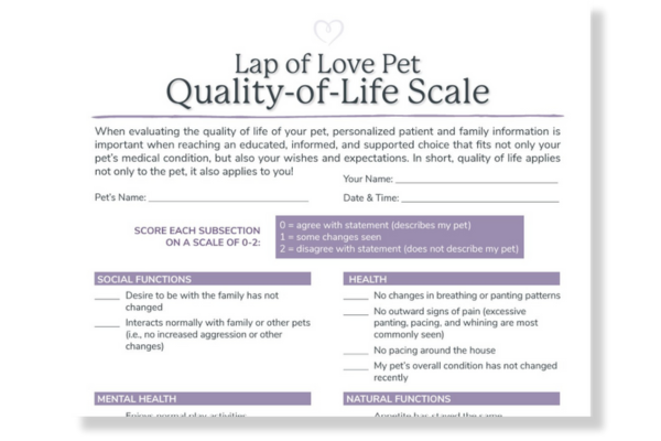 Quality of Life Scale