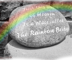 pet-memorial-keepsakes