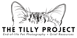 tilly-project-logo_v2