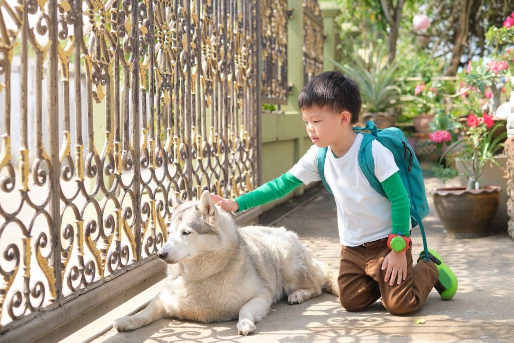 3 Ways to Help Your Children Respect Your Senior Pet’s Needs