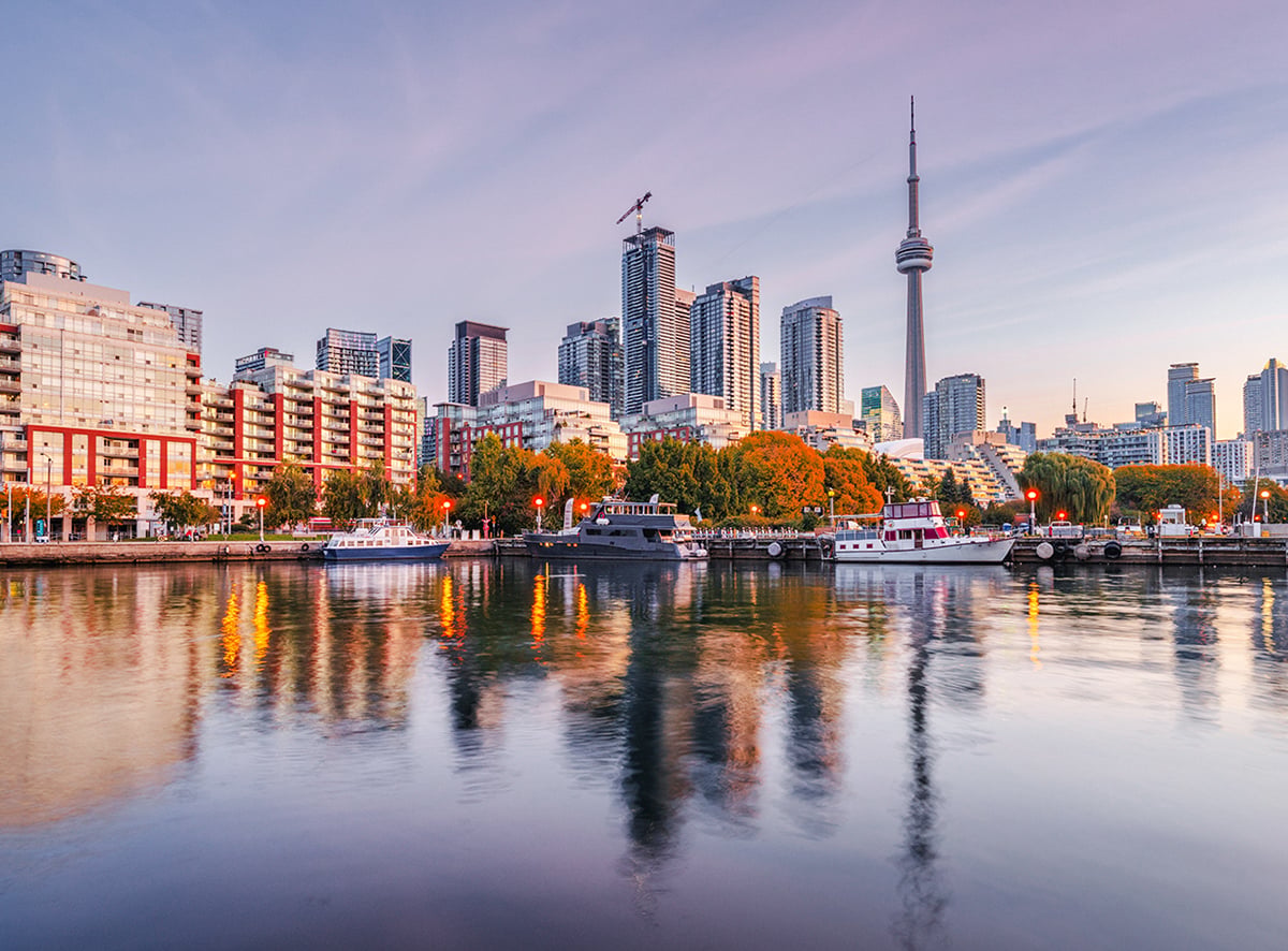 Toronto Euthanasia for Pets Toronto Euthanasia for Pets