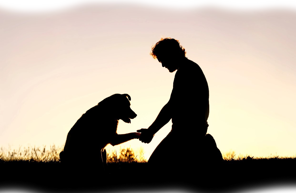 Finding-the-Meaning-in-Mourning1 Finding-the-Meaning-in-Mourning1