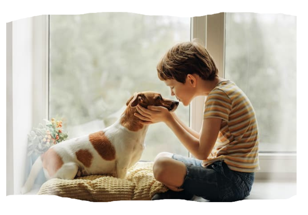 Lap of Love Pet Loss and Grief Lap of Love Pet Loss and Grief